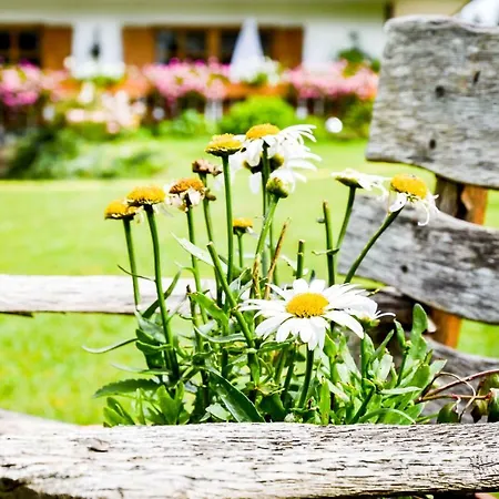 Gaestehaus Sonnenberg アパート *